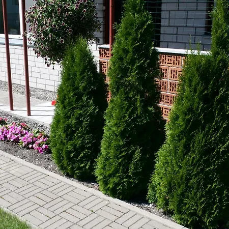 Nooruse Majutus Konukevi Kuressaare