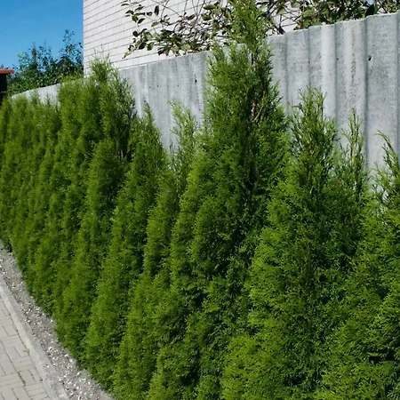 Gæstehus Nooruse Majutus