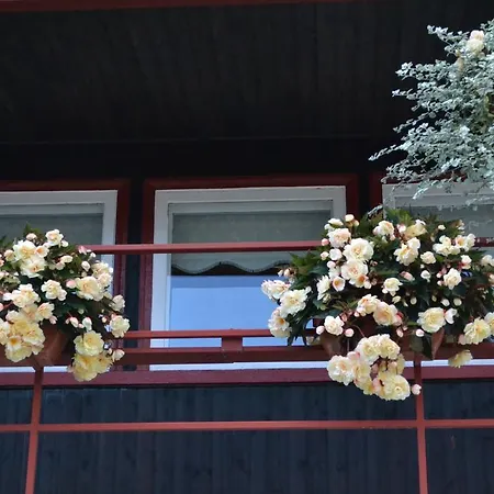 Nooruse Majutus Kuressaare