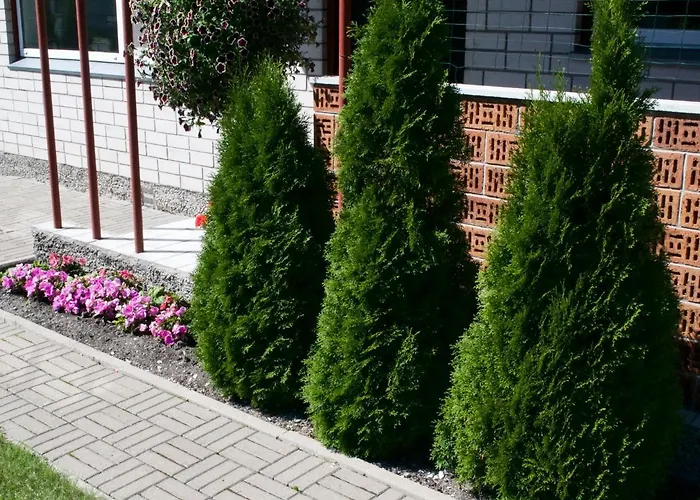 Nooruse Majutus Guest house Kuressaare