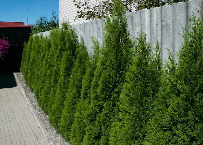 Guest house Nooruse Majutus