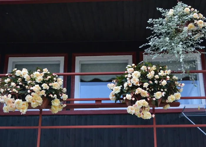 Nooruse Majutus Kuressaare